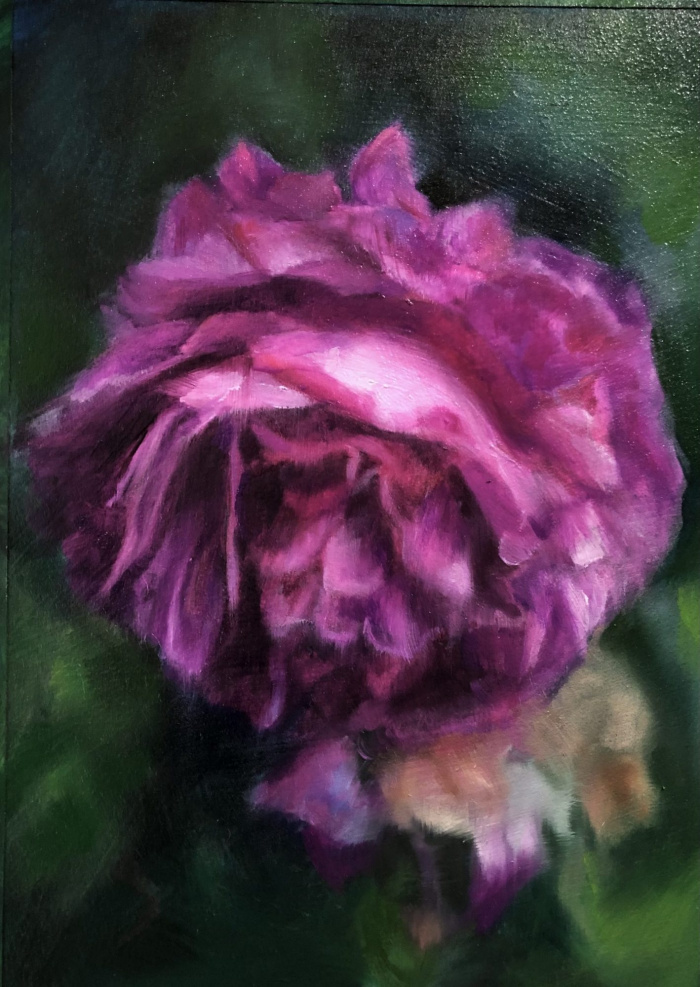 “William Lobb Moss Rose” by Angela Jackson
