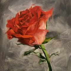 “Single Red Rose” by Angela Jackson