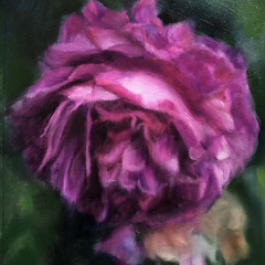 “William Lobb Moss Rose” by Angela Jackson