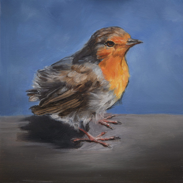 “Scruffy Robin” by Angela Jackson
