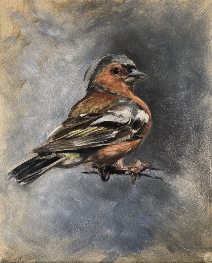“Cheeky Chaffinch” by Angela Jackson