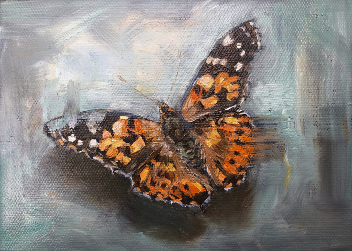 “Painted Lady” by Angela Jackson