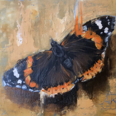 “Red Admiral butterfly” by Angela Jackson