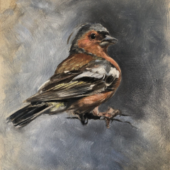 “Cheeky Chaffinch” by Angela Jackson