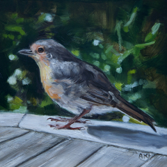 “Summer Robin” by Angela Jackson