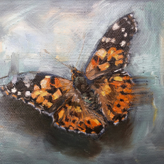 “Painted Lady” by Angela Jackson