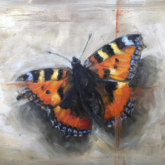 “Tortoiseshell butterfly” by Angela Jackson